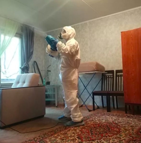дезинсекция квартиры в Дорогобуже